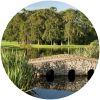 Image for Luttrellstown Castle Resort course